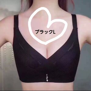 ブラショーツセット 補正ブラ バストアップ ショーツフリーサイズ