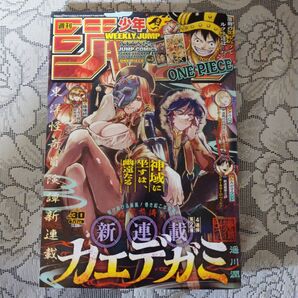 「週刊 少年ジャンプ(30) 2025月7月7日号」(カエデガミ)