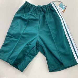 体操服 ハーフパンツ Cグリーン 2本ライン L