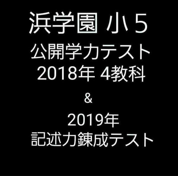 浜学園 小5 公開学力テスト 2018年 4教科 & 2019年 記述力錬成テスト
