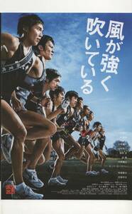 映画チラシ『風が強く吹いている』2009年公開 小出恵介/林遣都/中村優一/川村陽介/ダンテ・カーヴァー/橋本淳