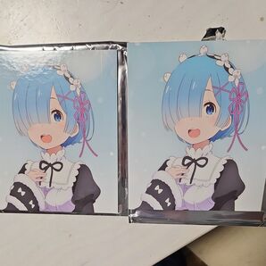 劇場版 Re:ゼロから始める異世界生活 来場者特典 ミニ色紙パネル Re ゼロから始める異世界生活 レム リゼロ 美少女