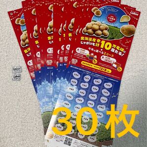 カルビー大収穫祭 応募用紙30枚 応募券6点分