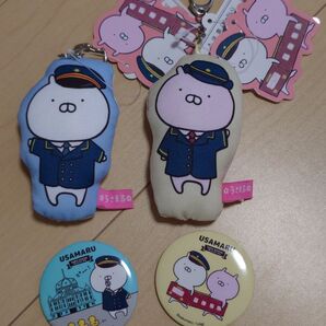東京駅 うさまる うさこ キーホルダー 缶バッジ