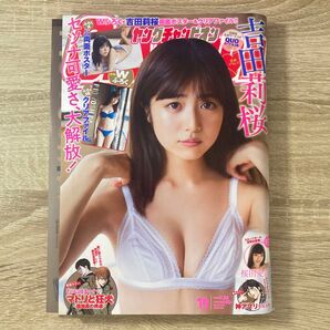 ヤングチャンピオン 2020年 No19 吉田莉桜 桜田愛音 付録付き【とじ込み両面ポスター / クリアファイル】