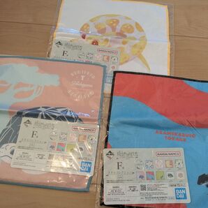 一番くじ 爬虫類&両生類 F賞タオルコレクション