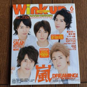 2008.6 Wink up
