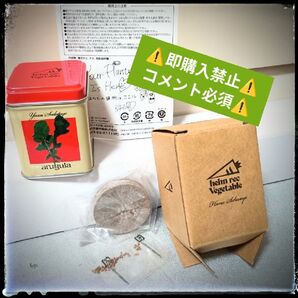 【コメント必須▼値下げ不可】藤井風 花と野菜缶 ルッコラ グッズ サイン LASA LOVE ALL SERVE ALL HEHN