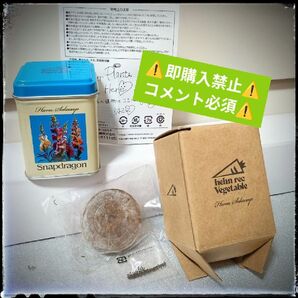 【コメ必須▼値下不可】藤井風 花と野菜缶 金魚草 魔除け グッズ サイン LASA LOVE ALL SERVE ALL HEHN