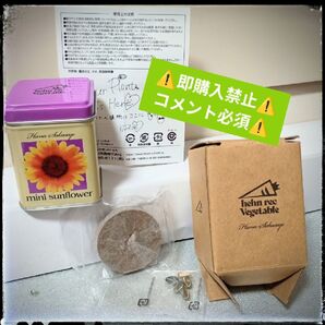 【コメ必須▼値下げ不可】藤井風 花と野菜缶 ひまわり グッズ サイン LASA LOVE ALL SERVE ALL HEHN