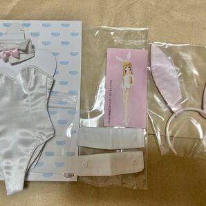 アゾン azone 1/3 ドール 人形 バニーガールスーツ 服 衣装