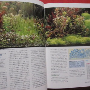 ☆決定版  水草大図鑑  ＴＨＥ ＣＯＭＰＬＥＴＥ ＥＮＣＹＣＬＯＰＥＤＩＡ ＯＦ ＷＡＴＥＲ ＰＬＡＮＴＳ   【趣味・アクア】の画像7