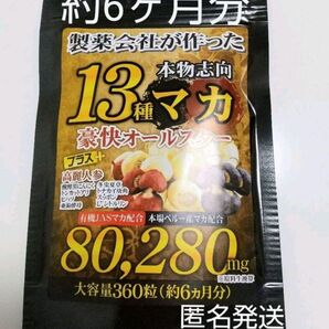 活力 13種マカ 6ヶ月分 にんにく トンカットアリ すっぽん サプリ