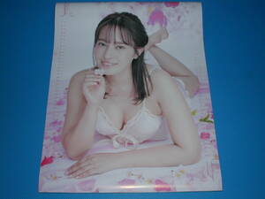 **2021 year ( flat rice field pear .)[ wall-mounted calendar ]CL-239 / new goods / postage packing included : 500 jpy 
