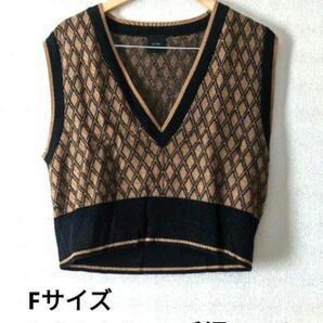 Spick & Spanスピックアンドスパン 毛混ベスト Fサイズ