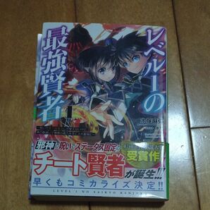 レベル1の最強賢者 呪いで最下級魔法しか使えないけど、神の勘違いで無限の魔力を手に入れ最強に