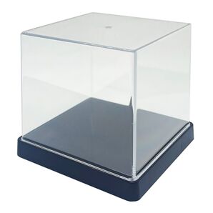 コレクション ディスプレイ ケース