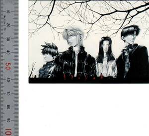 [No.31 иллюстрации коллекция серии 07 стикер три магазин . пустой ....~ Gensou Maden Saiyuki ][ наклейка * стикер ] медведь ... коллекционные карточки 1572