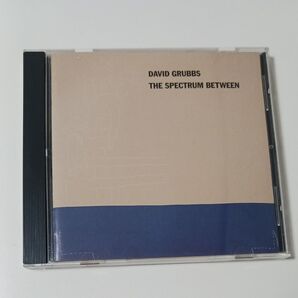 DAVID GRUBBS THE SPECTRUM BETWEEN