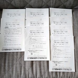 2024年度 最終共通テスト本番レベル模試