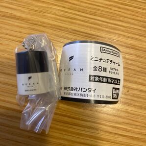 OCEAN TRICO OVER DRIVE ミニチュアチャーム 未開封