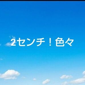 2センチ!色々アクリルパーツ!2センチ