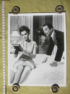 大判古写真 アン・マーグレット 1966年 MGM「メイド・イン・パリ」 スチール：大判：25cmX20cm　ルイ・ジュールダン、リチャード・クレンナ