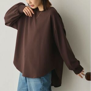 Sans Souci 34+ ストレッチカットジョーゼット バックスリット裾ラウンドプルオーバー / ブラウン