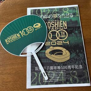 甲子園100年タブロイド