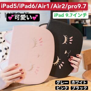 iPad9.7 iPad5/iPad6/Air/Air2/pro9.7 猫ケース