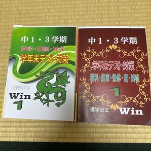 進学ゼミ 塾のオリジナル問題集 過去問など優れた問題集 中1 3学期 学年末テスト対策 2冊セット