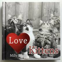 洋書絵本 ■ARTBOOK_OUTLET■ 65-104 ★ 送料無料！新品 素敵な写真を楽しむ 愛の子猫 LOVE KITTENS_画像1