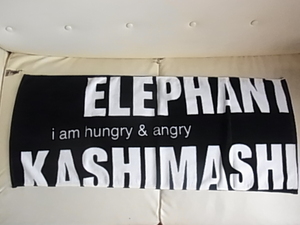 エレファントカシマシ　PAOグッズ　ゼップツアー ZeppTour　2016　GOODS　I am hungry　＆　angry 　タオル　完売品　宮本浩次