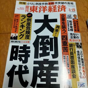 週刊東洋経済 大倒産時代 2025年3/29号 11年ぶり倒産件数1万件突破の真相