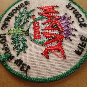 2002年 第13回 日本ジャンボリー ボーイスカウト スコットランド バッチ ワッペン/北欧FIFE SCOUTS 刺繍バッジBSNパッチBOY SCOUT V148の画像6