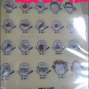 箱配送★最安値★ご当地シマエナガちゃんクリアファイル】★安心の箱配送 TBS THE TIME,★安住アナ#新品未使用品未開封品★