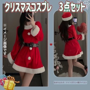 毎年人気! クリスマス コスプレ 大人用 女性 フリー