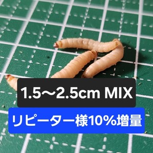 ML150匹+フード200g ハニーワーム