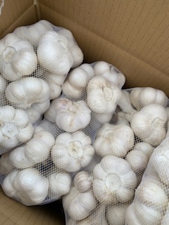 青森県 乾燥にんにく20Kg L