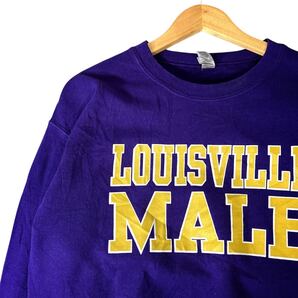 カレッジスウェット トレーナー スウェット カレッジ 古着 パープル紫 M GILDAN製