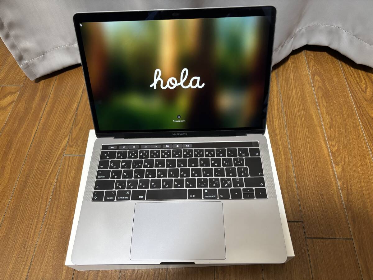【箱付き美品】APPLE MacBook Pro A2159 MUHQ2J/A Apple MacBook Pro Retinaディスプレイ 1400/13.3 MUHQ2J/A
