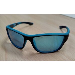 【送料無料】(特価)ダイワ 釣り 偏光 サングラス 偏光グラス 青 Blue frame ※ダイワ(DAIWA)TLX027 ※商品code 4550133346668