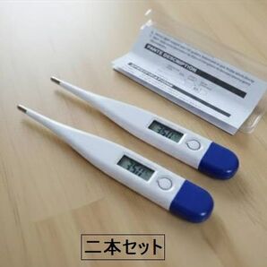 【送料無料】(二本セット) 新品【格安・匿名配送】デジタル体温計 安心の備え♪コロナ インフル対策 家族の健康管理に一本 必需品