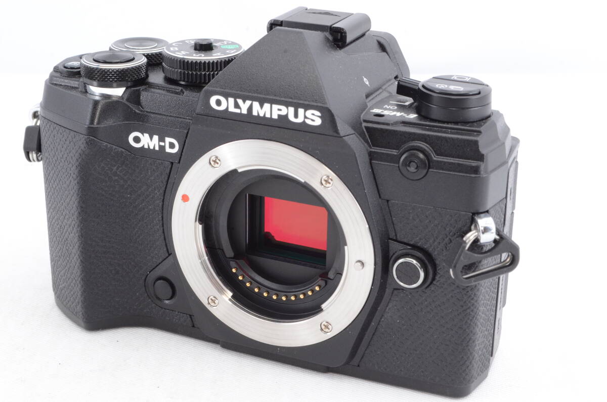 2025年最新】Yahoo!オークション -オリンパス om-d e-m5 mark iiiの