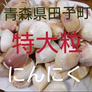 特大粒 1きろ 青森県田子町のにんにく