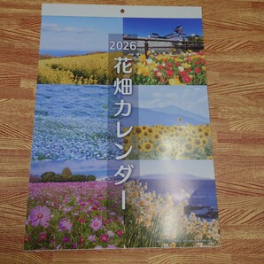 2026 壁掛け カレンダー A3