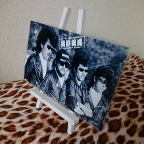 横浜銀蝿 ラミネート。