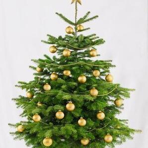 ♪♪送料無料★クリスマスツリー 壁掛け 飾り タペストリーNo.9 プレゼント