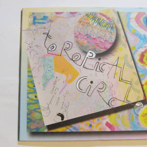 Toropical Circle 嶺川貴子&ダスティン・ウォング