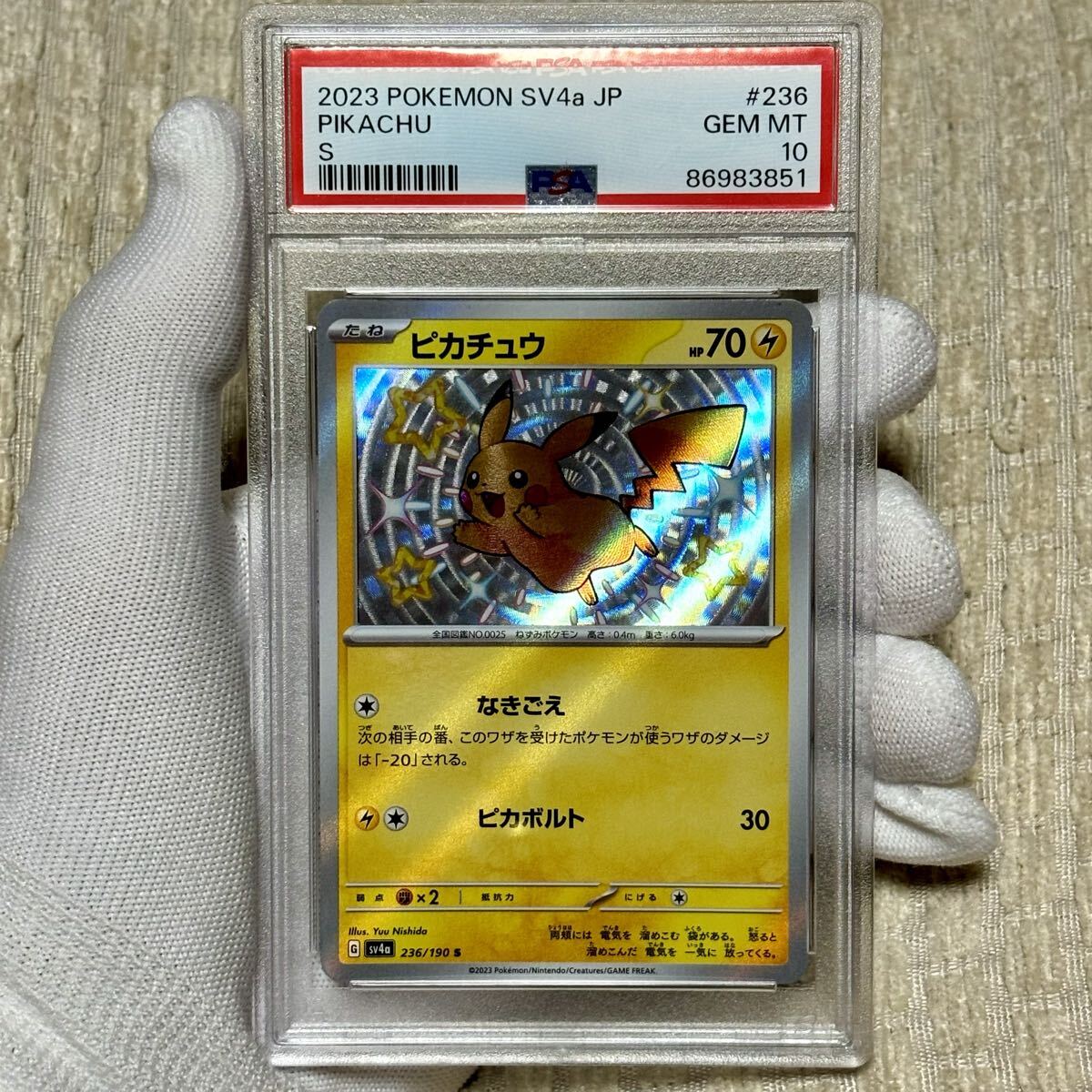 Yahoo!オークション -「リザードンex sar psa10」の落札相場・落札価格